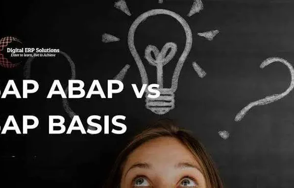 Basis Basis